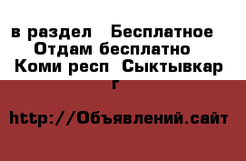  в раздел : Бесплатное » Отдам бесплатно . Коми респ.,Сыктывкар г.